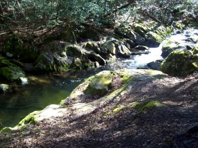 Clarks Creek 
...Swimming hole 
Photo by Rat
