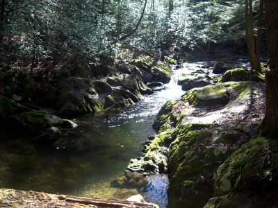 Clarks Creek
Pool of water in creek at the old mill site just beyond Embreeville Mountain.
Photo by Rat
