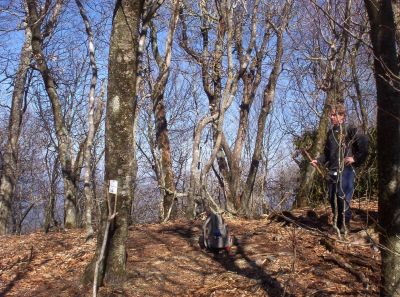 'Little Bald' 
South Summit of 'Little Bald' Mountain
during maintenance trip, Spring 2008
