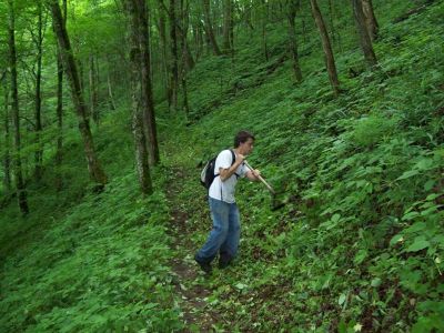 Weed-Whacking
...near Spivey Gap.  Newest helper Mark whacks a few weeds.
Photo by Rat
June, 2009
