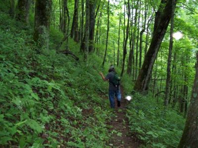 Weed-Whacking 
Tyler working hard 
Photo by Rat
6-2009
