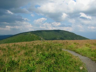 View From Grassy Ridge Trail
Roan Mountain
Photo by RAT 
7-11-2010
