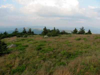 View From Grassy Ridge Trail
...on Roan Mountain
Photo by RAT 
7-11-2010
