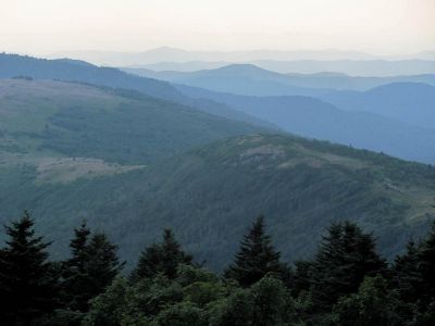 View From Grassy Ridge Trail
...on Roan Mountain
Photo by RAT 
7-11-2010
