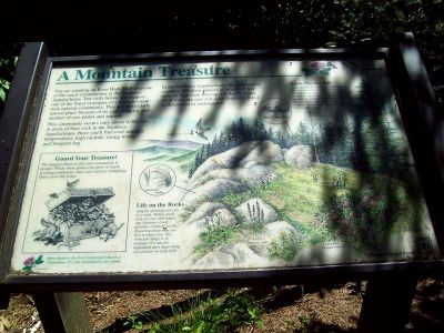Sign at Roan Mountain High Bluff
6-24-09
