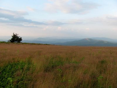 View From Grassy Ridge
Roan Mountain
Photo by RAT 
7-11-2010

