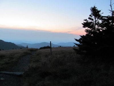 View From Grassy Ridge Trail
Roan Mountain
Photo by RAT 
7-11-2010
