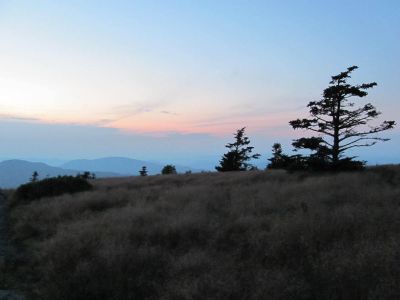 View From Grassy Ridge
Roan Mountain
Photo by RAT 
7-11-2010
