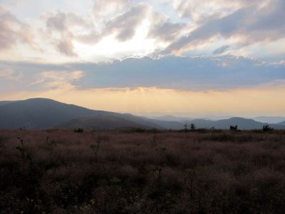 View From Grassy Ridge Trail
Roan Mountain
Photo by RAT 
7-11-2010
