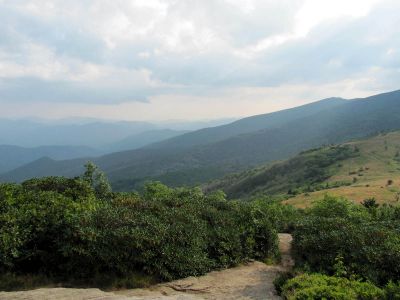 View From Grassy Ridge
Roan Mountain
Photo by RAT 
7-11-2010
