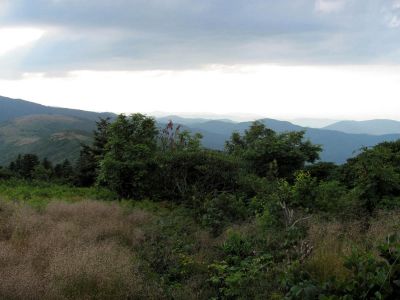 View From Grassy Ridge
Roan Mountain
Photo by RAT 
7-11-2010
