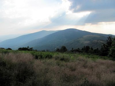 View From Grassy Ridge
Roan Mountain
Photo by RAT 
7-11-2010
