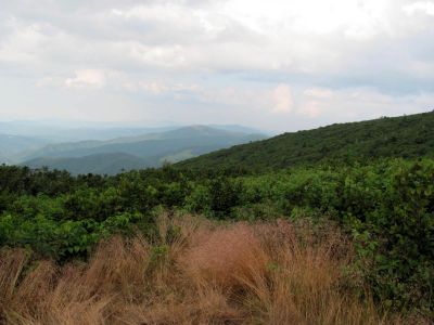 View From Grassy Ridge
Roan Mountain
Photo by RAT 
7-11-2010
