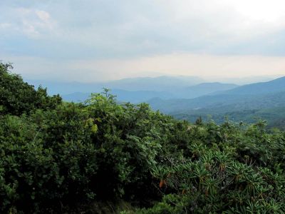 View From Grassy Ridge
Roan Mountain
Photo by RAT 
7-11-2010
