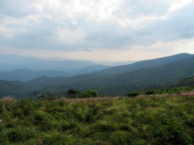 View From Grassy Ridge
Roan Mountain
Photo by RAT 
7-11-2010
