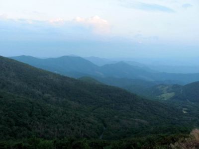View From Grassy Ridge Trail
Roan Mountain
Photo by RAT 
7-11-2010
