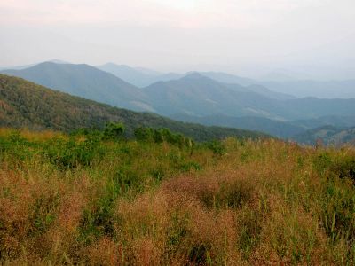 View From Grassy Ridge
Roan Mountain
Photo by RAT 
7-11-2010
