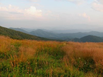 View From Grassy Ridge
Roan Mountain
Photo by RAT 
7-11-2010
