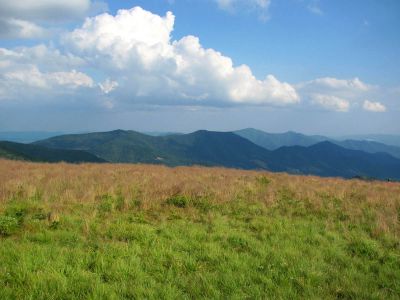 View From Grassy Ridge
Roan Mountain
Photo by RAT 
7-11-2010
