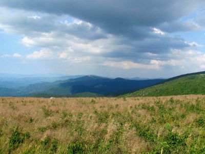 View From Grassy Ridge
Roan Mountain
Photo by RAT 
7-11-2010
