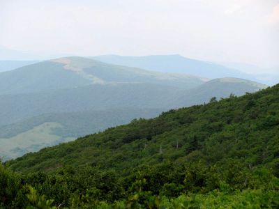 View From Grassy Ridge
Roan Mountain
Hump Mountain in the distance
Photo by RAT 
7-11-2010
