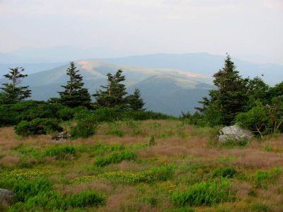 View From Grassy Ridge
Roan Mountain
Hump Mountain in the distance
Photo by RAT 
7-11-2010

