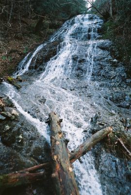 Chigger Branch Falls
aka 'Delsatch Falls' 
also 'Milky Way Cascades'
March - 2009
