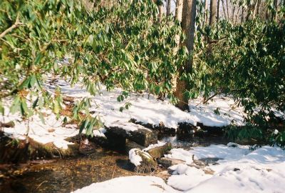 Spivey Gap
bridge at trail-head

