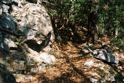 Appalachian Trail
The big rock outcropping near Curly Maple Gap (2008)
