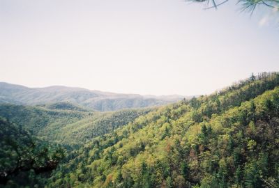 Jones Branch Lookoff Cliff
views.
