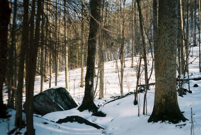 Snow along A.T. near Spivey Gap
