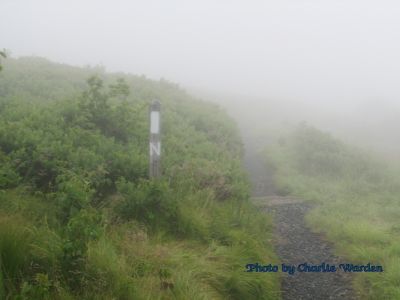 Appalachian Trail 
...through the fog on Roan Mountain.
Photo taken by Charlie Warden
