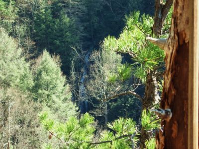Lower Sill Branch Falls
...as seen from the 'cliff's edge' on the Sill Branch Overlook,
3-19-10
