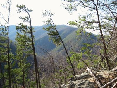Sill Branch Overlook
View of Sampson Mountain,
3-19-10
