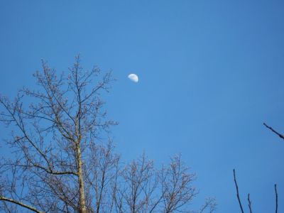 Spring Moon
Spivey area,
3-24-10
