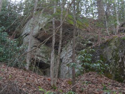 Rock 'Condo'
Another view of the huge rock shelter near the Elk River. 
3-21-2017
