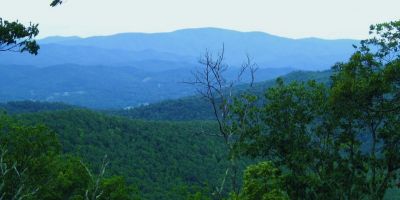 Buffalo Mountain View
Unaka Mountain in distance,
June, 2011
