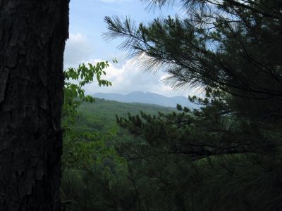 View of Grandfather Mountain
...from South Harper Creek (NC).
6-5-2015

