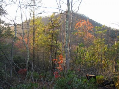 View of Temple Hill
11-6-2011
