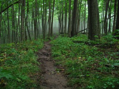 Hogback Ridge Trail
July, 2011
