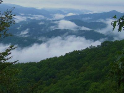 Hogback Ridge View
July, 2011

