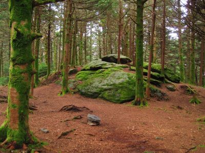 Summit Of Roan Mountain
Roan High Knob Trail,
8-2011
