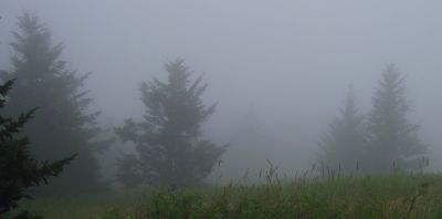 Cloudy View
At the old hotel site,
Roan High Knob Trail,
8-2011
