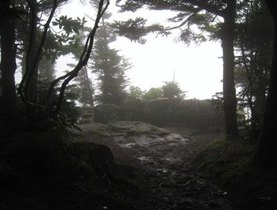 Sunset Rock
Foggy View,
Roan High Knob Trail,
8-2011
