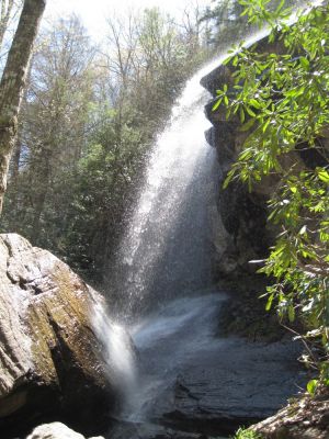 Jones Falls
April, 2010
