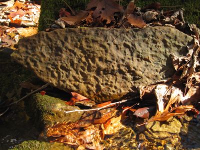 Geology
Strange Rock...
Phillips Hollow Trail.
11-12-2011 
