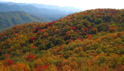 View From White Rocks Cliff, NC
October, 2011
