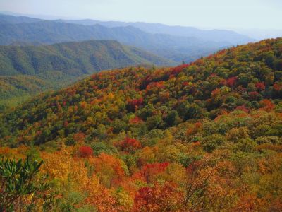View From White Rocks Cliff, NC
October, 2011
