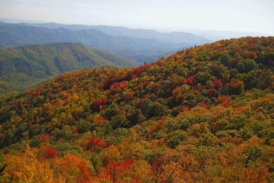 View From White Rocks Cliff, NC
October, 2011
