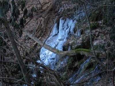 Cherokee National Forest

